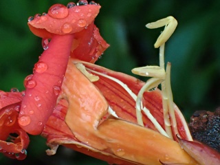 PC313469a.jpg